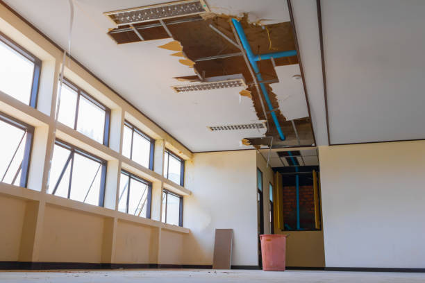 Best Professional water damage repair  in Middletown, CA