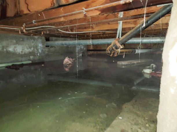 Best 24-hour water damage restoration  in Middletown, CA