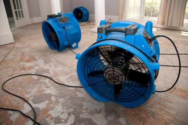 Water damage restoration mold remediation in Middletown, CA