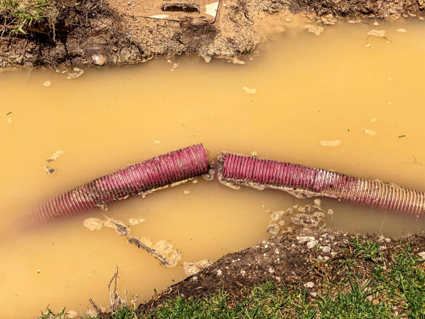 Best Water damage restoration near me  in Middletown, CA