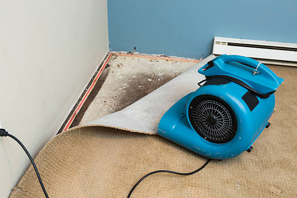 Best 24/7 water damage repair  in Middletown, CA